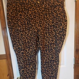 Womens Plus Size Terra& Sky Jeggings